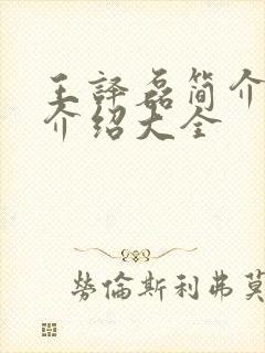 王译磊简介信息介绍大全