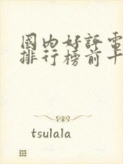 国内好评电视剧排行榜前十名