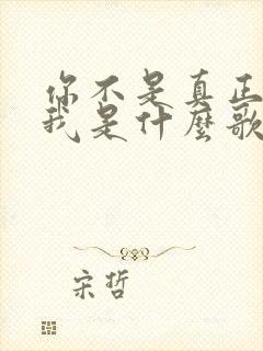 你不是真正的爱我是什么歌