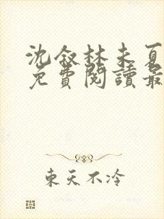 沈叙林未夏全文免费阅读最新章节