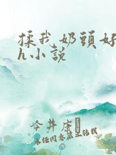 揉我奶头好爽嗯h小说