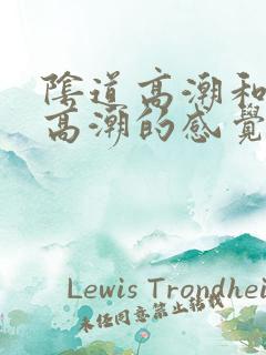 阴道高潮和阴蒂高潮的感觉一样吗