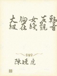 大胸女友韩国三级在线观看