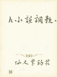h小说调教小说
