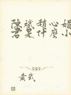 陈斌赵心媚高婉君是什么小说