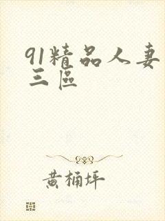 91精品人妻二三区