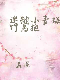 迷糊小青梅腹黑竹马抱