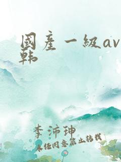 国产一级av日韩