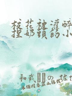 校花被灌醉扒衣捏奶头的小说