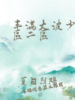 丰满大波少妇一区二区