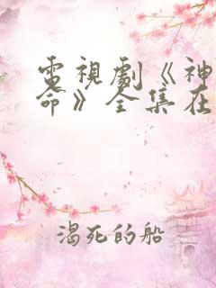 电视剧《神圣使命》全集在线观看