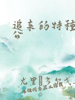 追来的特种兵老公