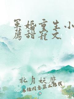 军婚重生小说推荐甜宠文