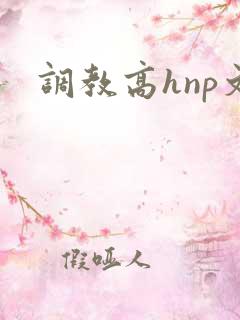 调教高hnp文
