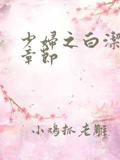 少妇之白洁最新章节