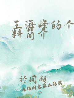 王海峰的个人资料简介