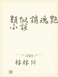 类似销魂艳婢的小说