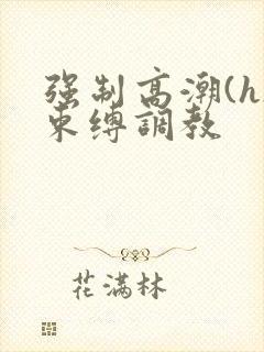 强制高潮(h)束缚调教