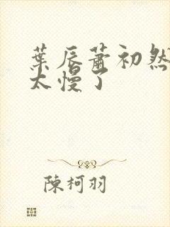 叶辰萧初然更新太慢了