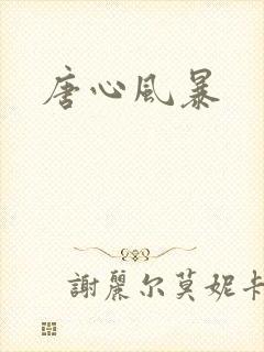 唐心风暴