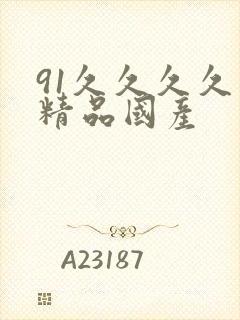 91久久久久久精品国产