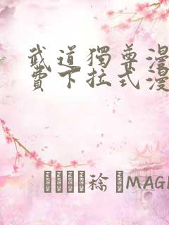 武道独尊漫画免费下拉式漫画