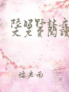 陆昭野林夜棠全文免费阅读最新章节