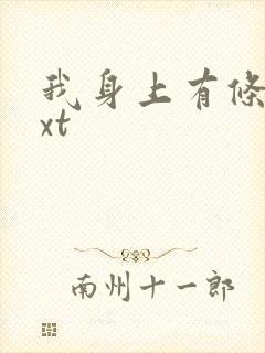 我身上有条龙txt