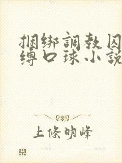 捆绑调教囚禁束缚口球小说