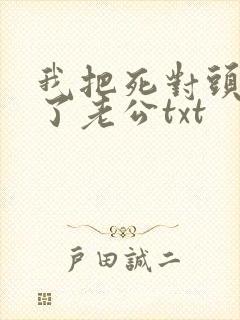 我把死对头养成了老公txt