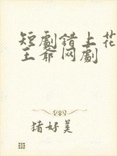 短剧错上花轿嫁王爷网剧