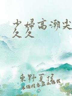 少妇高潮尖叫久久久