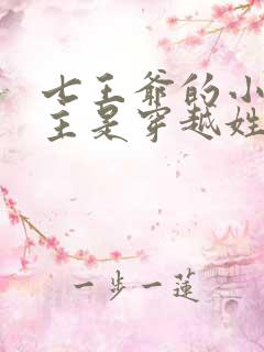 七王爷的小说女主是穿越姓苏