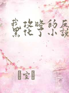 我攻略的反派都黑化了小说