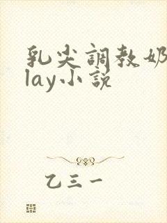 乳尖调教奶头play小说