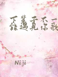 下辈子不一定还能遇见你歌词