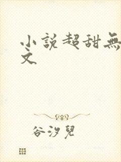 小说超甜无虐宠文