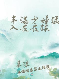 丰满少妇猛烈进入夜夜揉