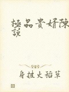 极品贵婿陈阳小说