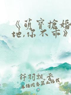 《萌宝抢婚:爹地,你不乖》