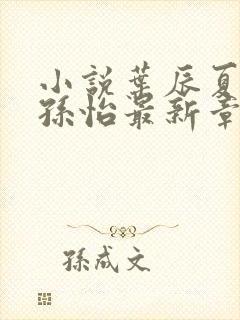 小说叶辰夏若雪孙怡最新章节免费阅读