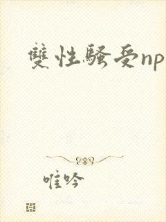 双性骚受np
