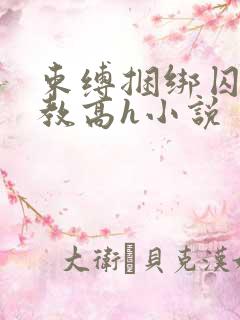 束缚捆绑囚禁调教高h小说