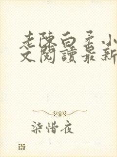 老陈白柔小说全文阅读最新章节内容