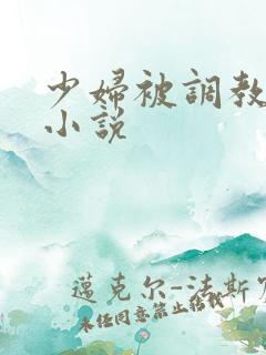 少妇被调教浣肠小说