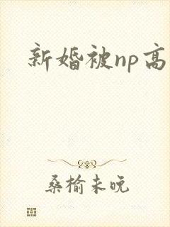 新婚被np高h