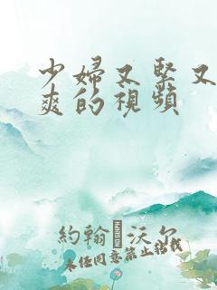 少妇又紧又骚又爽的视频