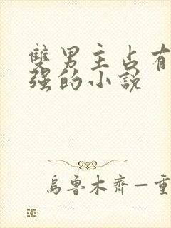 双男主占有欲很强的小说