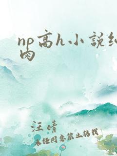 np高h小说纯肉