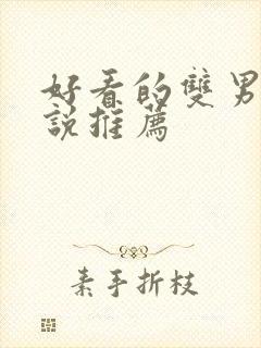 好看的双男主小说推荐